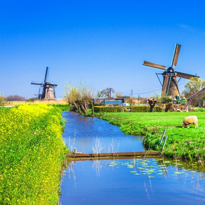 Websitel laten maken in Voorschoten